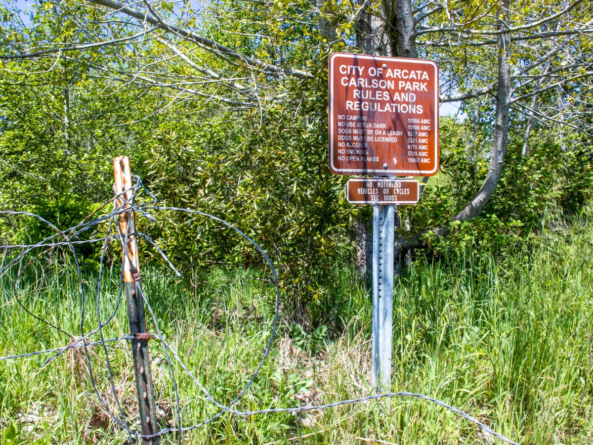 CUNA: Restaurando Carlson Park y embelleciendo Valley West 