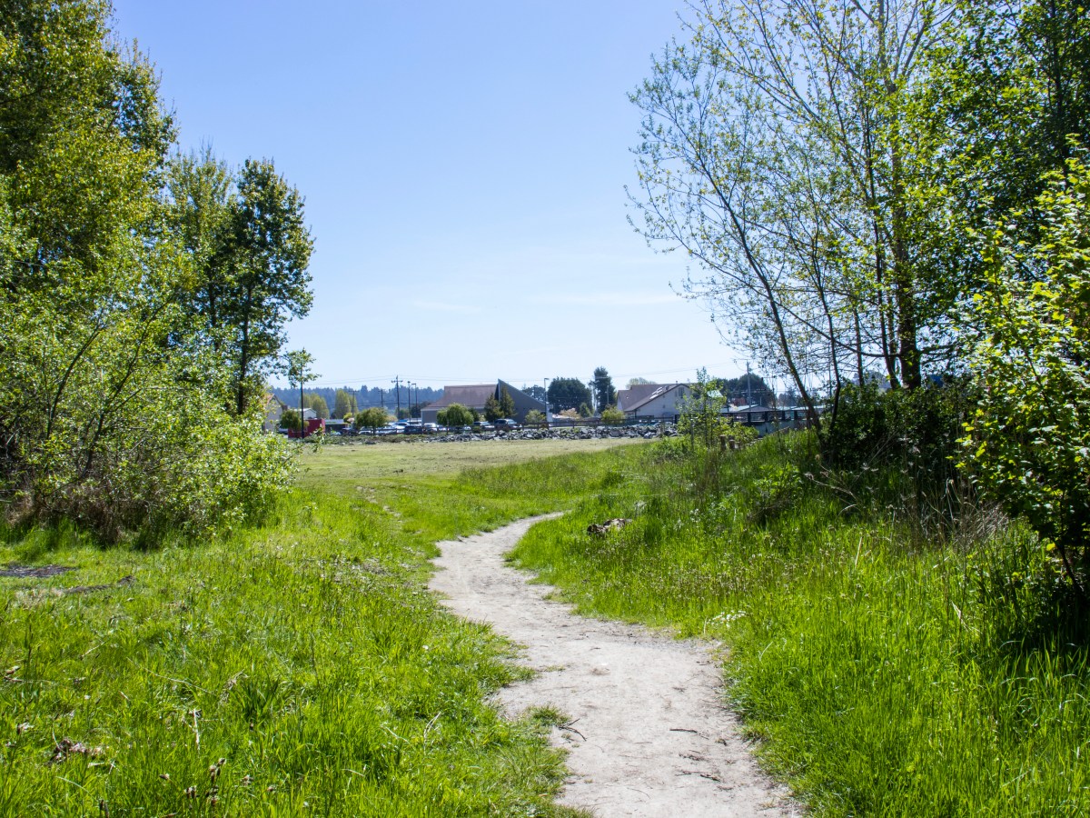 CUNA: restoring Carlson Park and beautifying Valley West 