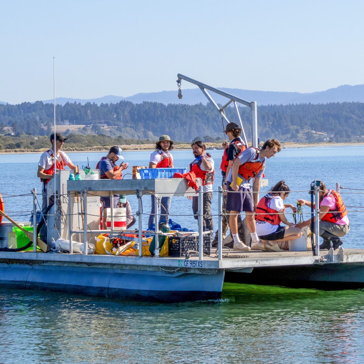 ‘Small paper cuts.’ Perspectives from Latine researchers in the&nbsp;sciences