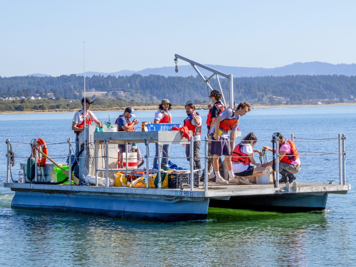 ‘Small paper cuts.’ Perspectives from Latine researchers in the&nbsp;sciences